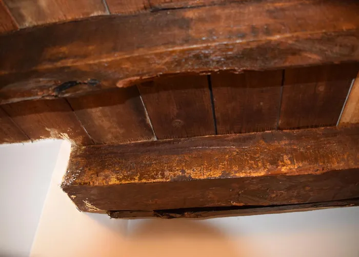 Casa Cannoni Apartman *